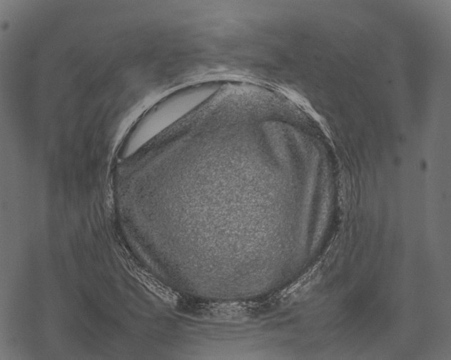 X0000077291167200611031543