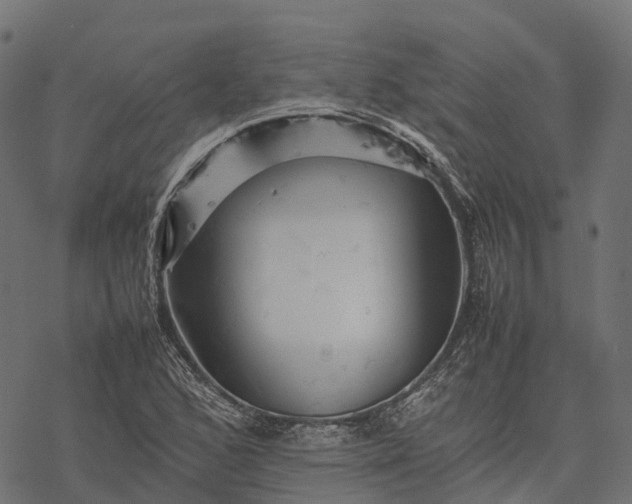 X0000077291168200611031543