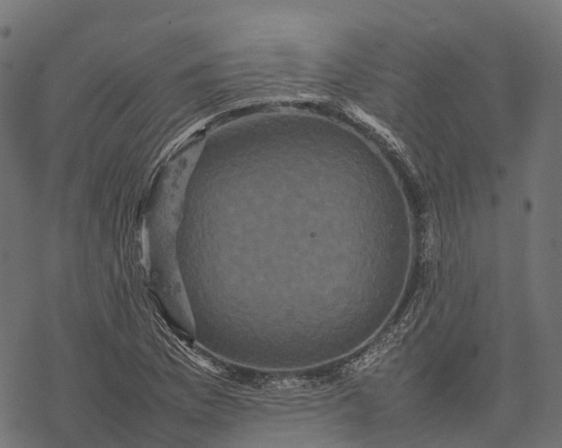 X0000077291169200611031543