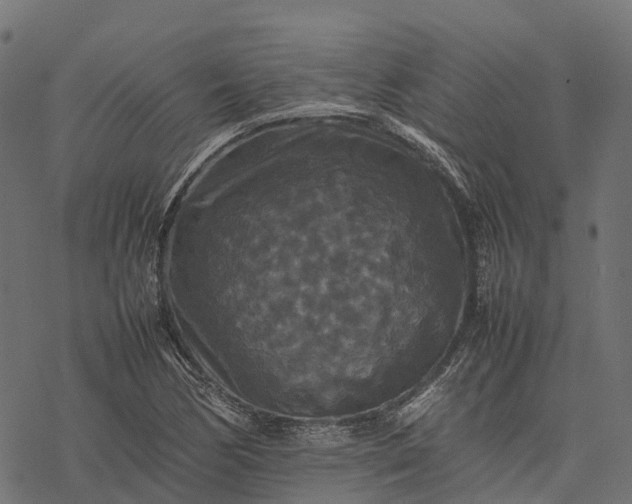 X0000077291170200611031543