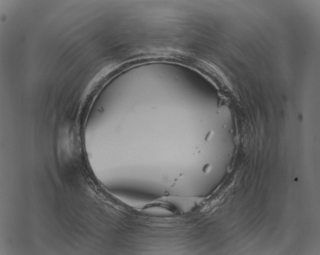 X0000077291172200611031543