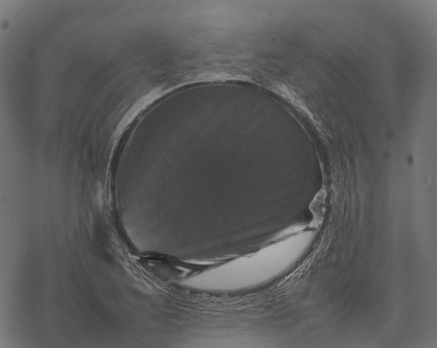 X0000077291173200611031543