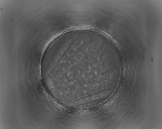 X0000077291174200611031543