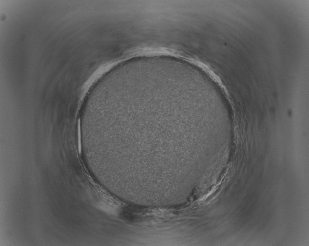 X0000077291175200611031543