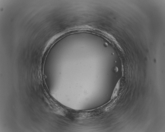 X0000077291176200611031543