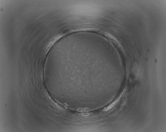 X0000077291177200611031543