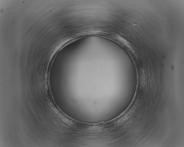 X0000077291178200611031543