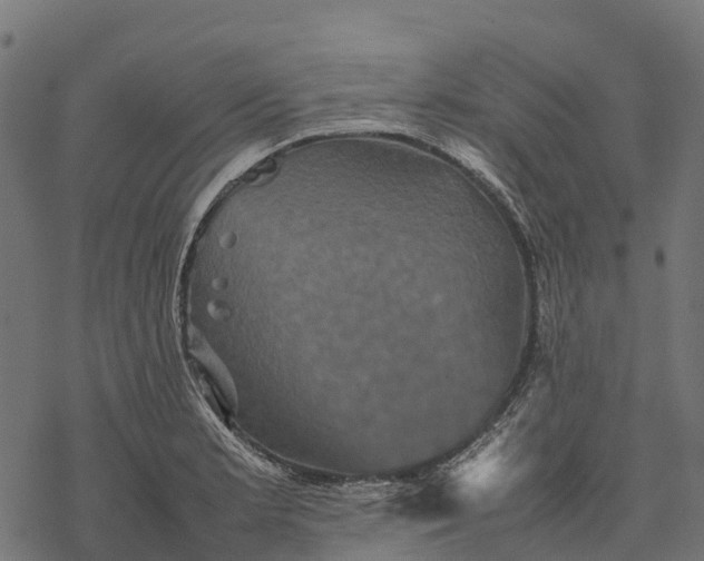 X0000077291181200611031543