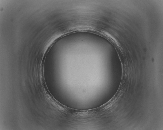 X0000077291182200611031543