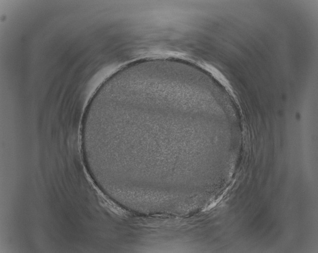 X0000077291183200611031543