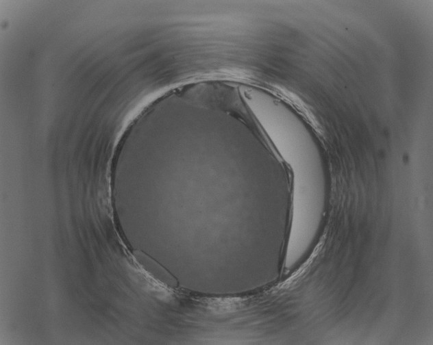 X0000077291184200611031543