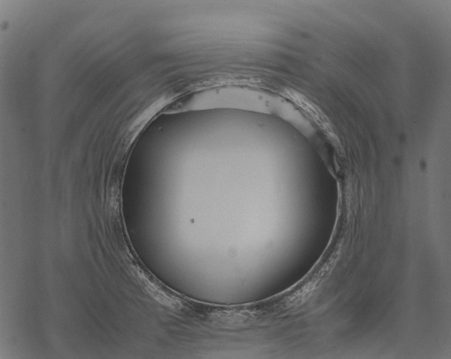 X0000077291185200611031543