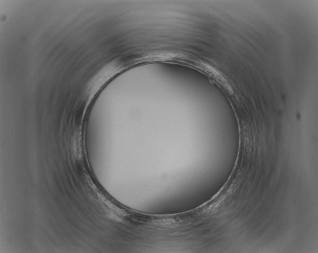 X0000077291186200611031542