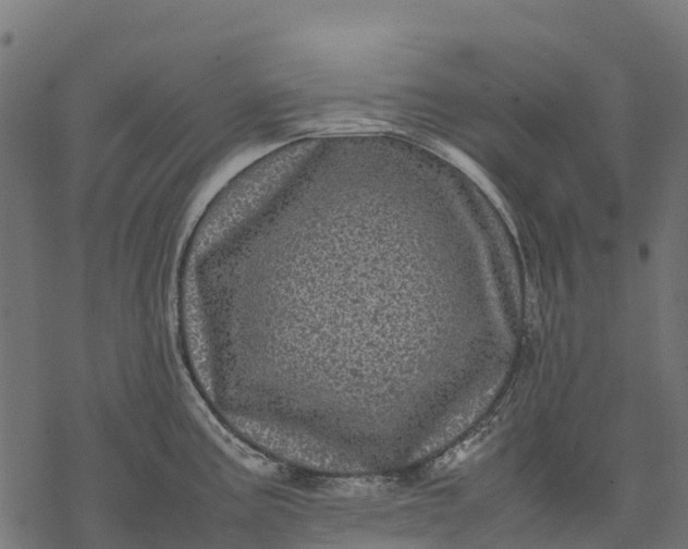 X0000077291195200611031542