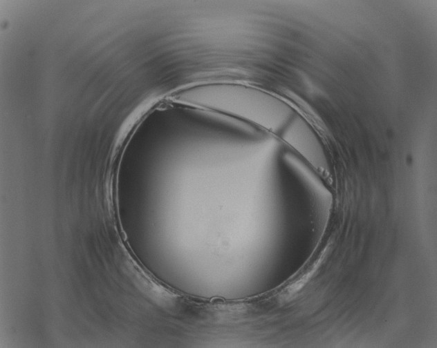 X0000077291196200611031542