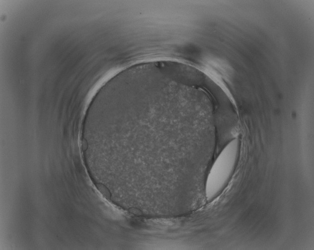 X0000077291197200611031542