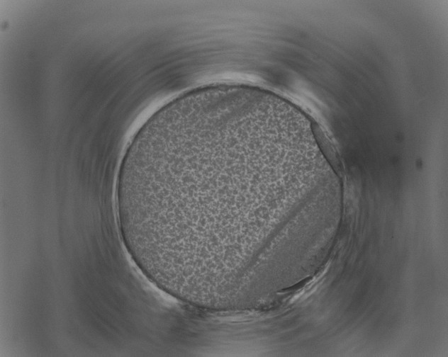 X0000077291199200611031542