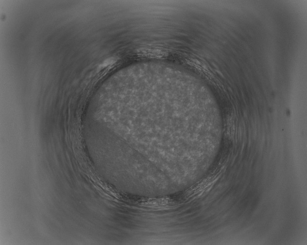 X0000077291201200611031541