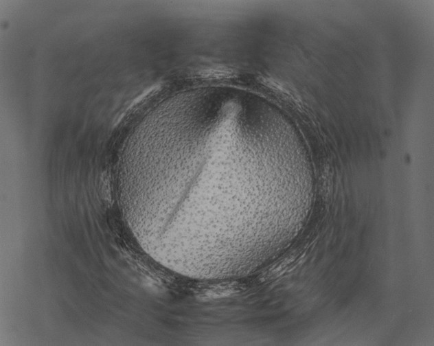X0000077291205200611031542