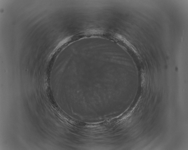 X0000077291213200611031542