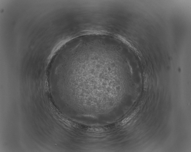 X0000077291215200611031542