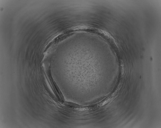 X0000077291217200611031542