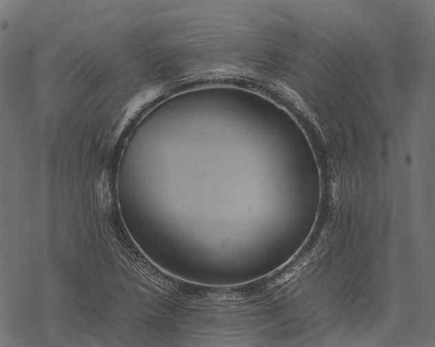 X0000077291218200611031542