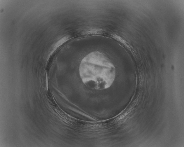 X0000077291219200611031542