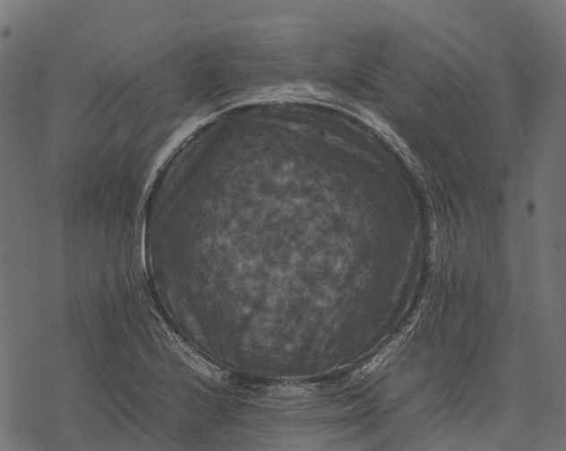 X0000077291224200611031542