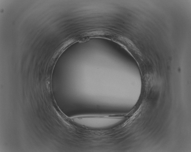 X0000077291225200611031542
