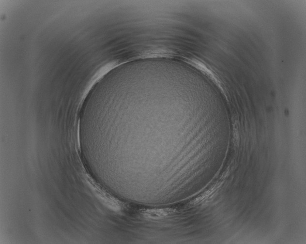 X0000077291227200611031542