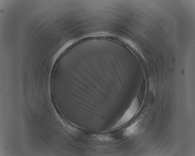 X0000077291229200611031542