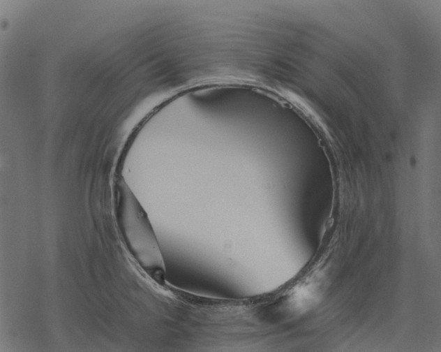 X0000077291238200611031542