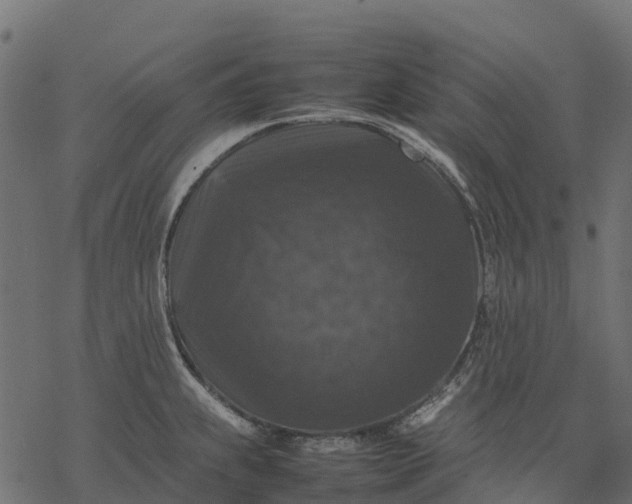 X0000077291239200611031542