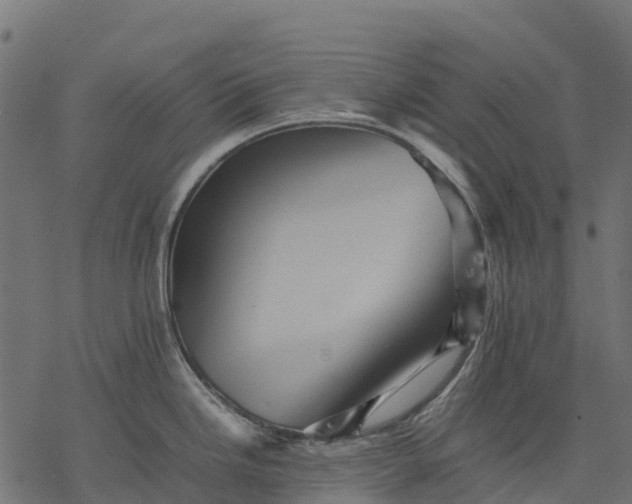 X0000077291246200611031542