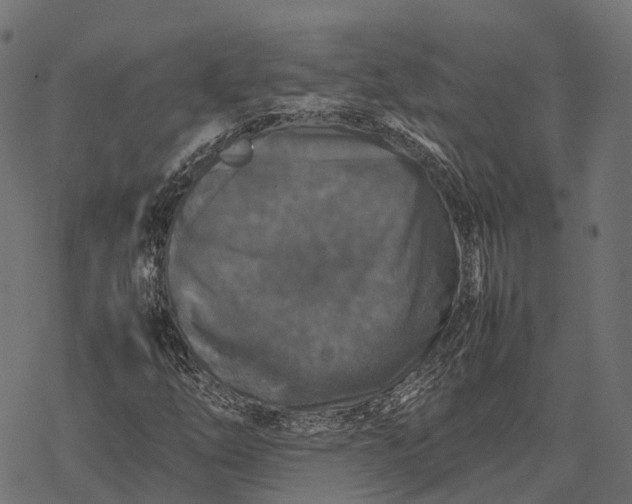 X0000077291254200611031541