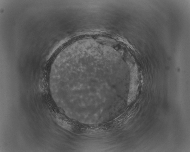 X0000077291256200611031541