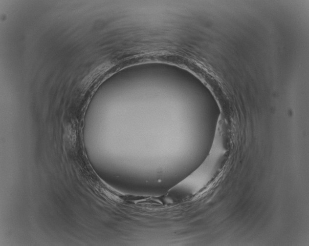 X0000077291257200611031541