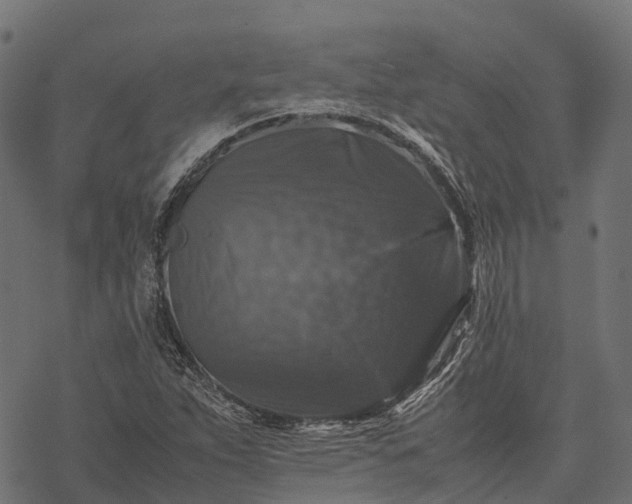 X0000077291263200611031541