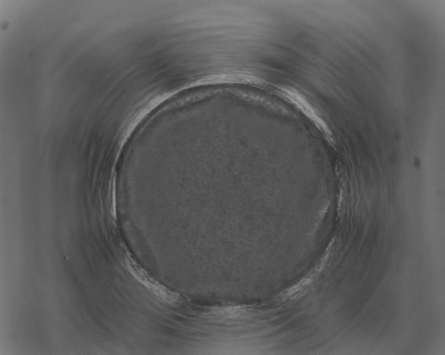 X0000077291276200611031541