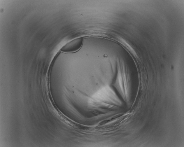 X0000077291291200611031541