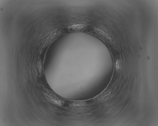 X0000077291299200611031540