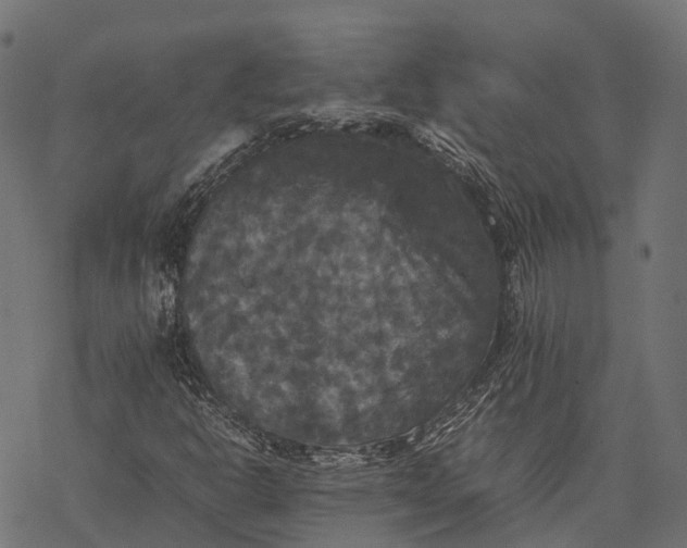 X0000077291302200611031540