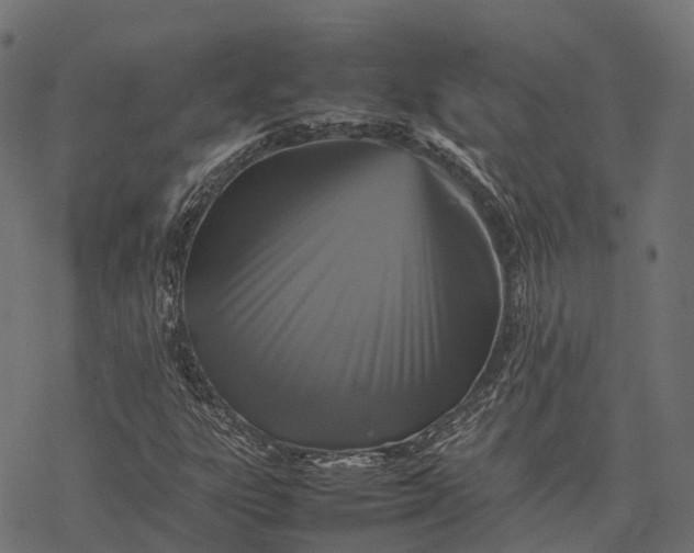 X0000077291303200611031540
