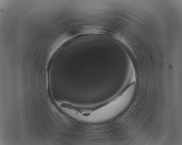 X0000077291323200611031540