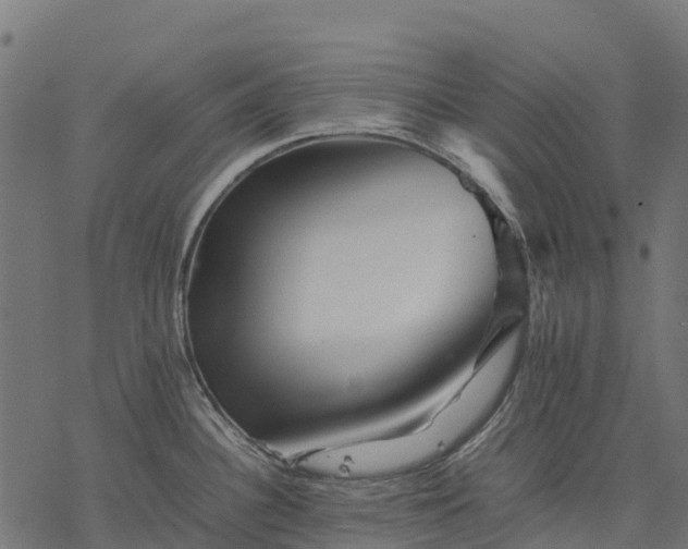 X0000077291340200611031541