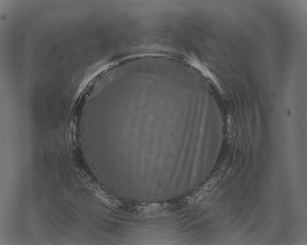 X0000077291352200611031540