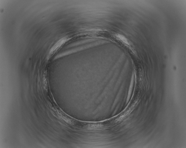 X0000077291354200611031540