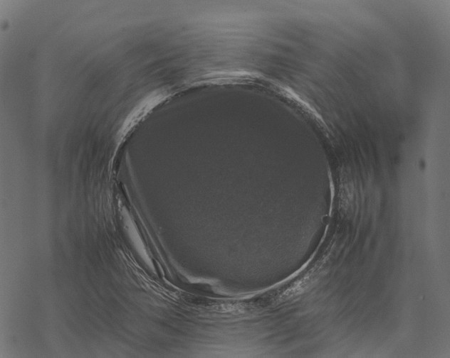 X0000077291362200611031540