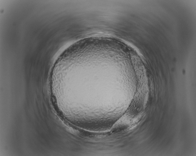 X0000077291375200611031539
